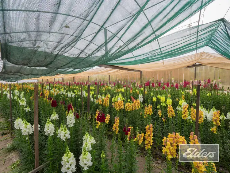 Fourth view of Homely house listing, 22-36 Whitman Road, Cedar Vale QLD 4285