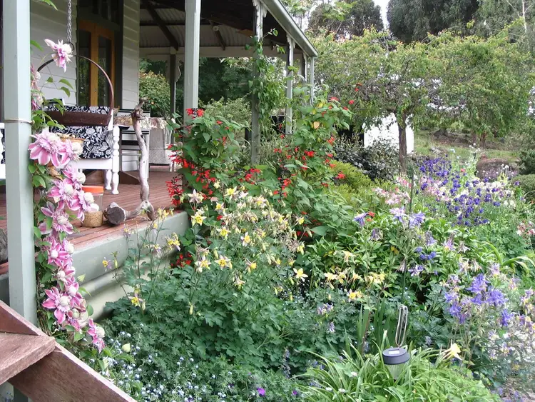 Fourth view of Homely rural property listing, 250 Ashes Bridge Road, Tallarook VIC 3659