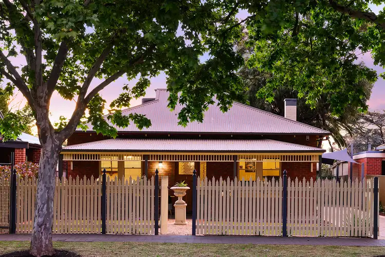 24 Flinders Ave, Colonel Light Gardens SA 5041