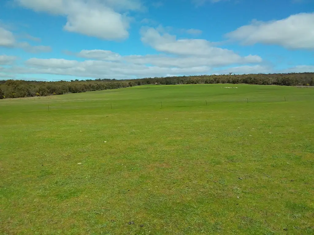 Main view of Homely rural property listing, 0 Black Range Road, Brimpaen VIC 3401
