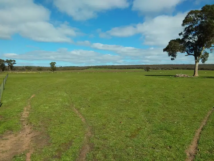 Sixth view of Homely rural property listing, 0 Black Range Road, Brimpaen VIC 3401