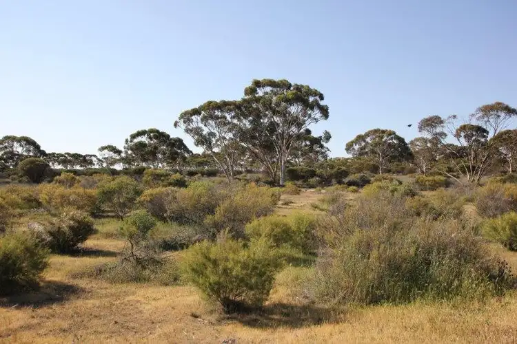 Third view of Homely rural property listing, Lot 1 Booran South Road, Merredin WA 6415