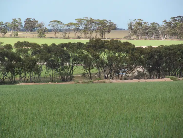 Fourth view of Homely rural property listing, Lot 1 Booran South Road, Merredin WA 6415