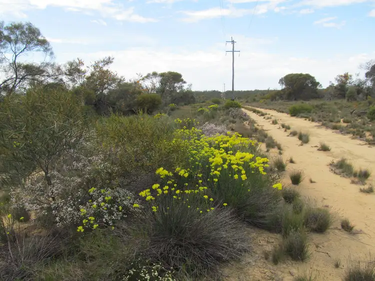 Fifth view of Homely rural property listing, Lot 1 Booran South Road, Merredin WA 6415