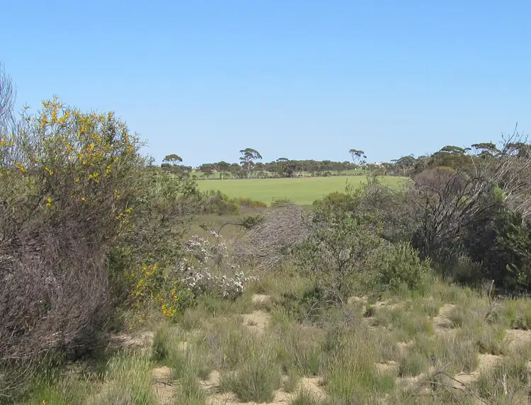 Sixth view of Homely rural property listing, Lot 1 Booran South Road, Merredin WA 6415