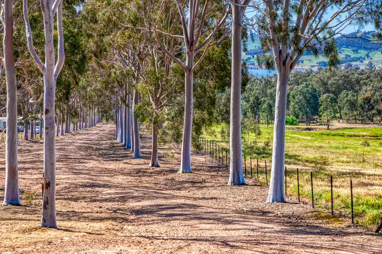 Fourth view of Homely rural property listing, 1324 Murray River Road, Talgarno VIC 3691