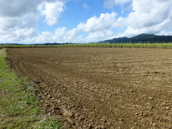 Sixth view of Homely rural property listing, Address available on request