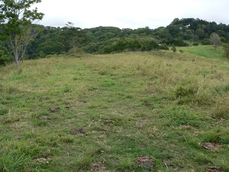 Seventh view of Homely land listing, 197 Black Pinch Road, Cootharaba QLD 4565