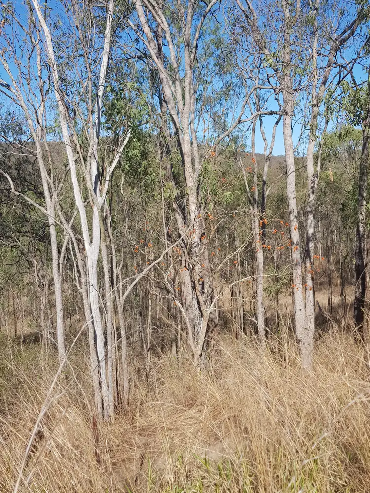 Fifth view of Homely rural property listing, 28 Barton Rd Kolonga, Gin Gin QLD 4671