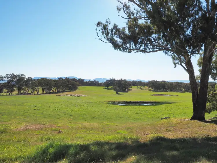 Sixth view of Homely rural property listing, 0 Mine Battery Road, Norval VIC 3377