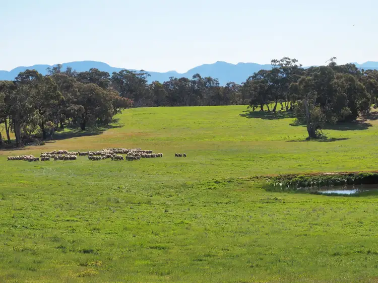 Seventh view of Homely rural property listing, 0 Mine Battery Road, Norval VIC 3377