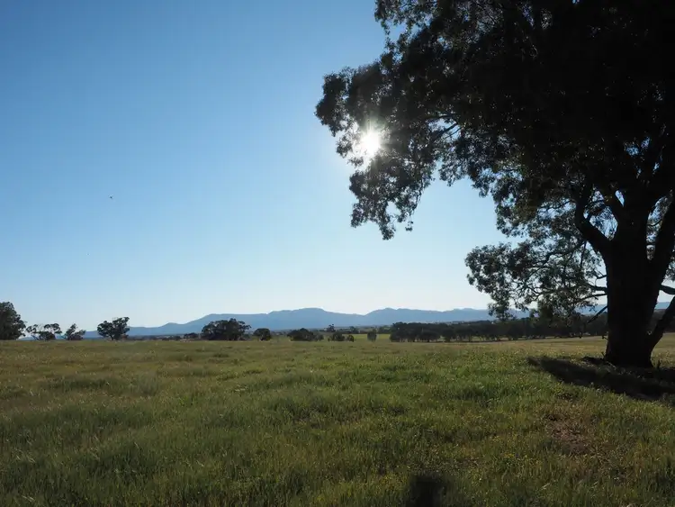 Fourth view of Homely rural property listing, 0 Better Route Road, Norval VIC 3377