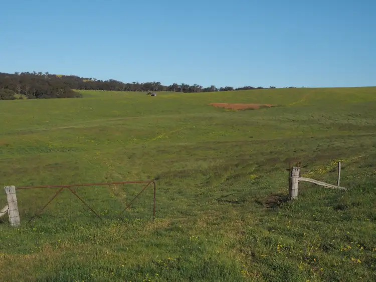 Fifth view of Homely rural property listing, 0 Better Route Road, Norval VIC 3377