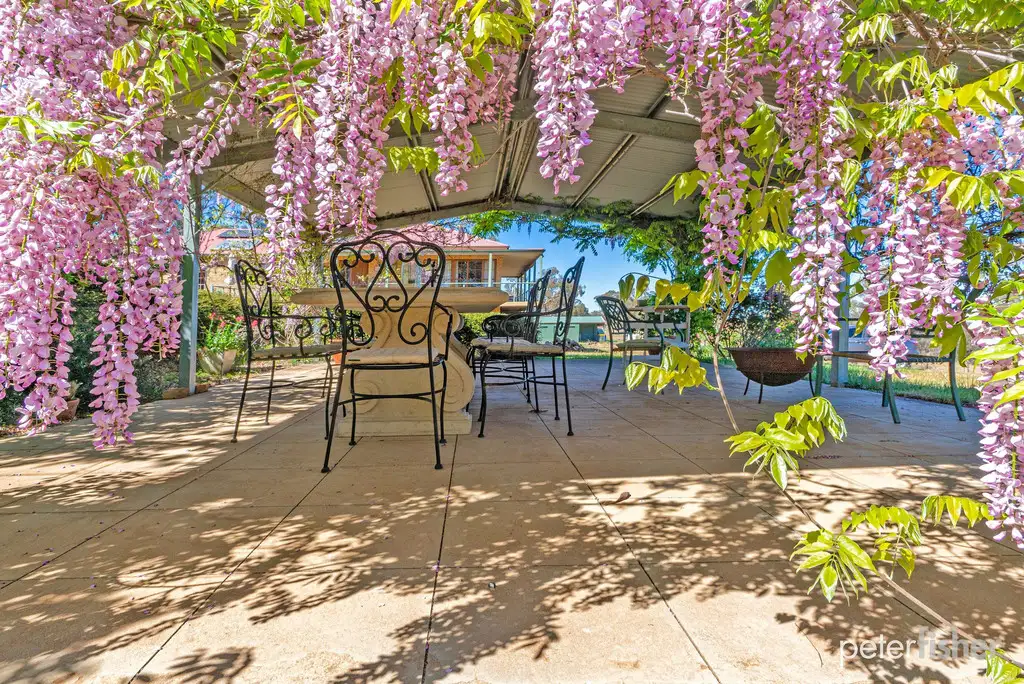 Main view of Homely rural property listing, 665 Bowan Park Road, Orange NSW 2800