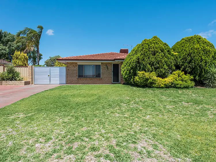 Main view of Homely house listing, 151 Cordelia Avenue, Coolbellup WA 6163