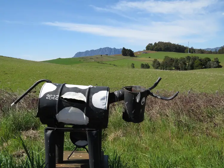 Main view of Homely rural property listing, 2622 Wilmot Road, Wilmot TAS 7310