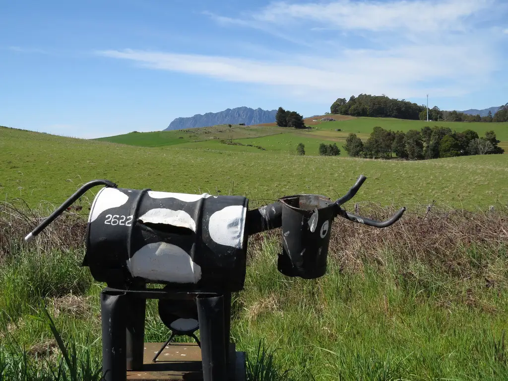Main view of Homely rural property listing, 2622 Wilmot Road, Wilmot TAS 7310