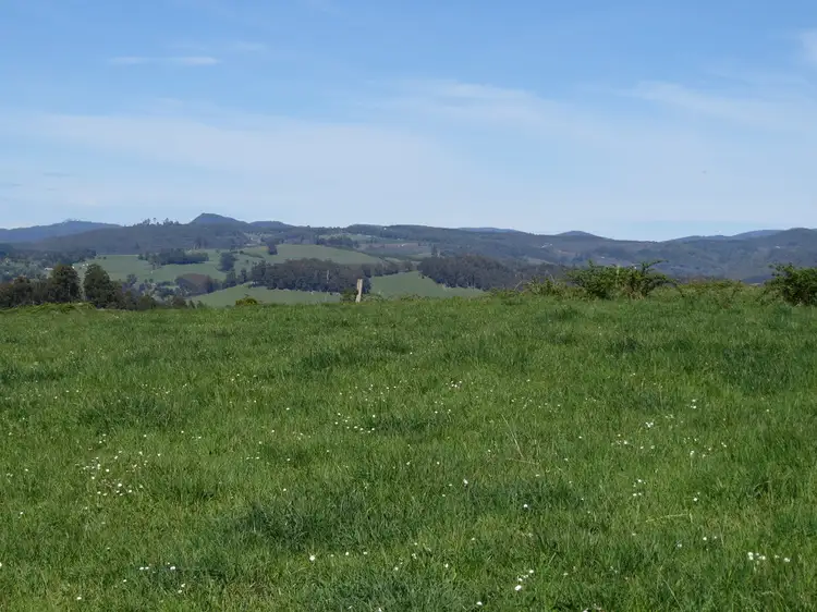 Fifth view of Homely rural property listing, 2622 Wilmot Road, Wilmot TAS 7310