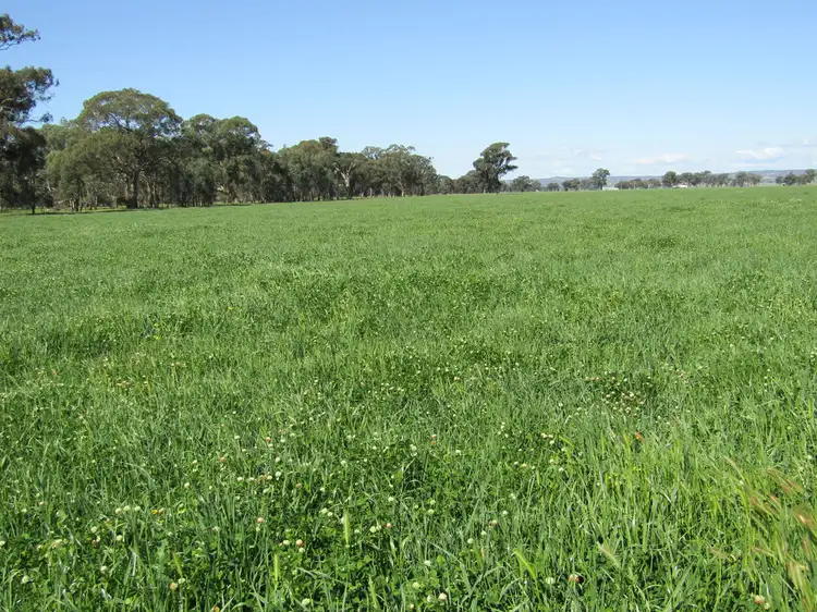 Second view of Homely rural property listing, Lot 1 Boorhaman-Springhurst Rd, Springhurst VIC 3682
