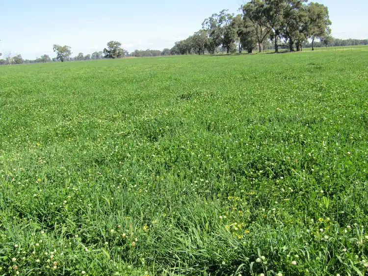 Third view of Homely rural property listing, Lot 1 Boorhaman-Springhurst Rd, Springhurst VIC 3682