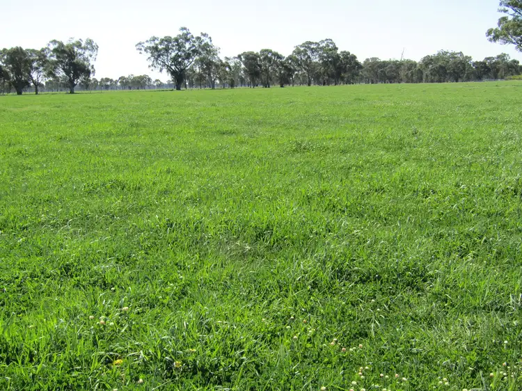 Fifth view of Homely rural property listing, Lot 1 Boorhaman-Springhurst Rd, Springhurst VIC 3682