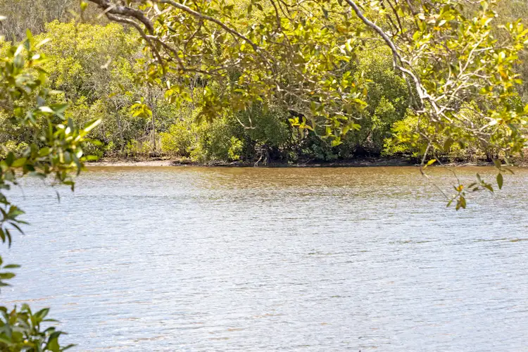 31 Melcar Court, Diddillibah QLD 4559