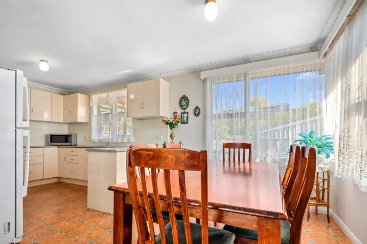 Fifth view of Homely house listing, 11 Alice Street, Scottsdale TAS 7260