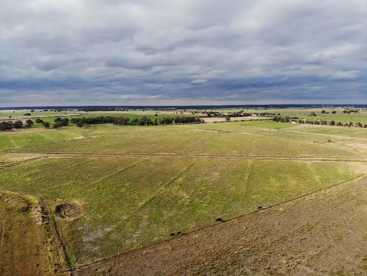 Second view of Homely rural property listing, 1291 O'Dea, Koyuga VIC 3622
