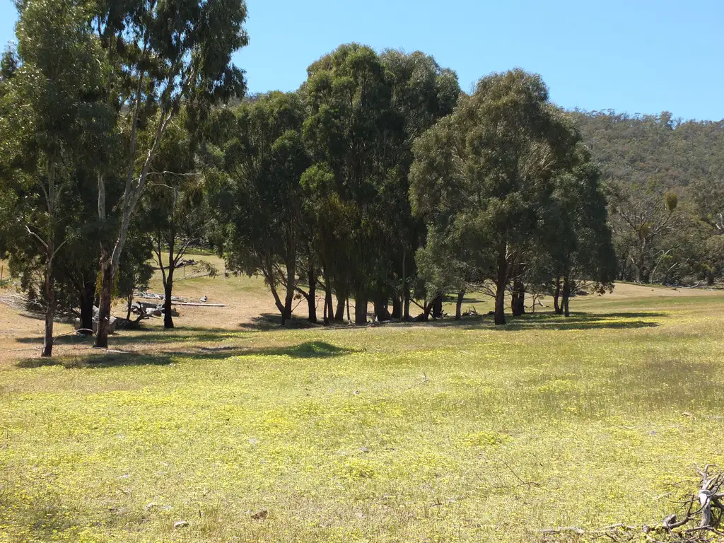 Main view of Homely rural property listing, CA30 Barkly Gap Road, Barkly VIC 3384