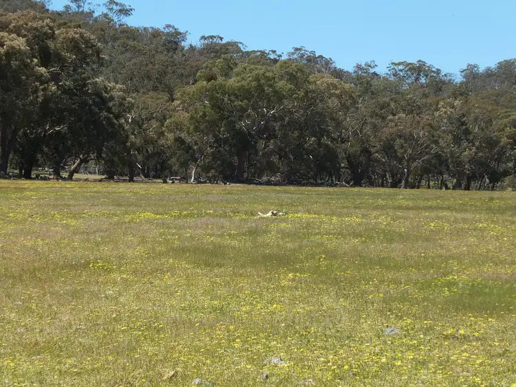 Sixth view of Homely rural property listing, CA30 Barkly Gap Road, Barkly VIC 3384