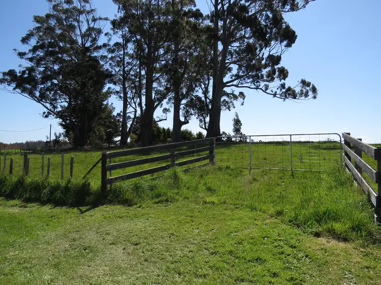 Main view of Homely rural property listing, Lot 1 Staverton Road, Roland TAS 7306
