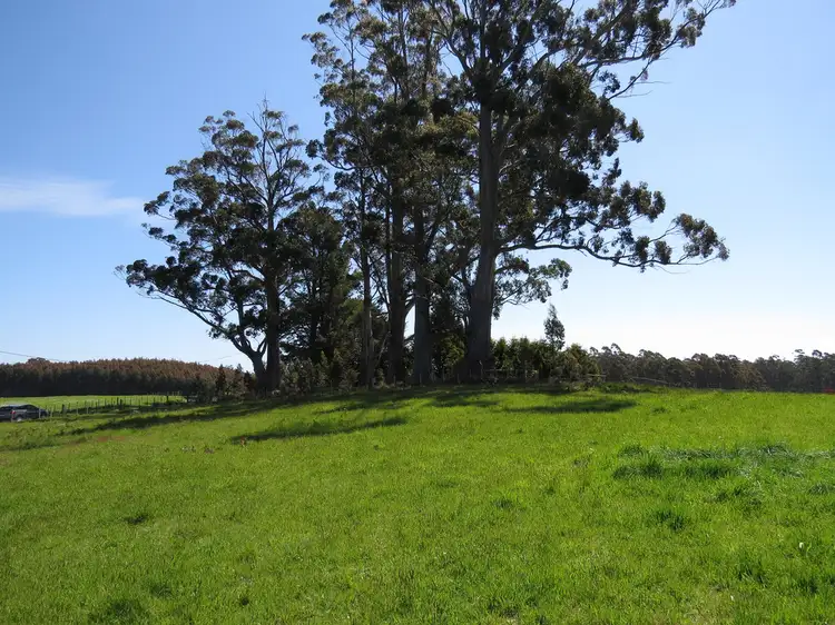 Fourth view of Homely rural property listing, Lot 1 Staverton Road, Roland TAS 7306