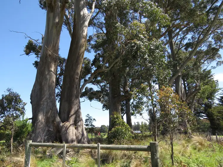 Seventh view of Homely rural property listing, Lot 1 Staverton Road, Roland TAS 7306