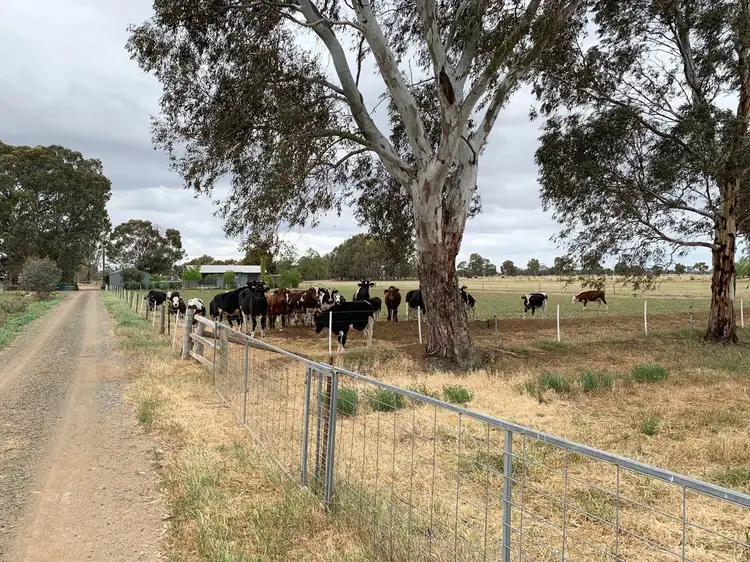Main view of Homely house listing, 358 Vise Road, Bamawm VIC 3561