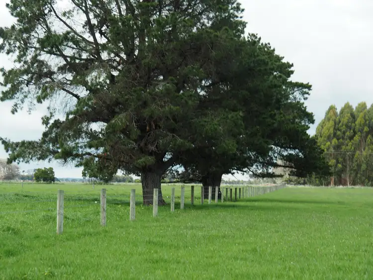 Second view of Homely rural property listing, Allotment 16 Terang-Framlingham Road, Terang VIC 3264