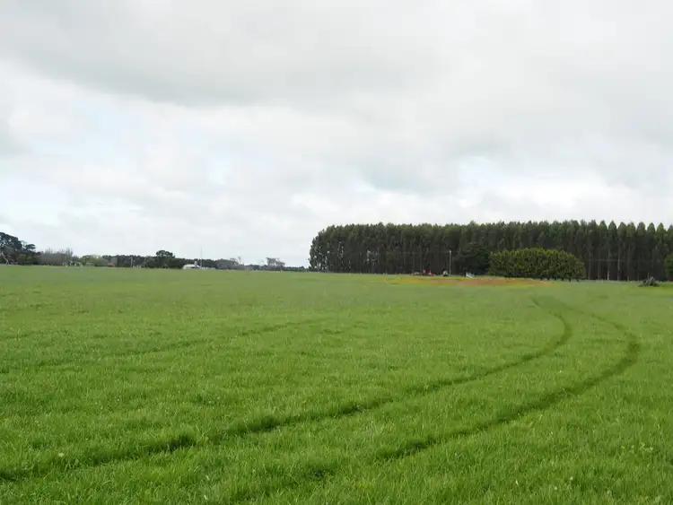 Third view of Homely rural property listing, Allotment 16 Terang-Framlingham Road, Terang VIC 3264