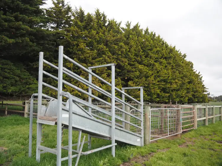 Fifth view of Homely rural property listing, Allotment 16 Terang-Framlingham Road, Terang VIC 3264