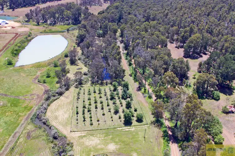Fifth view of Homely rural property listing, 2913 Pinjarra-Williams Road, Dwellingup WA 6213