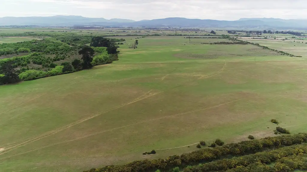 Main view of Homely rural property listing, 372 Nile Road, Evandale TAS 7212