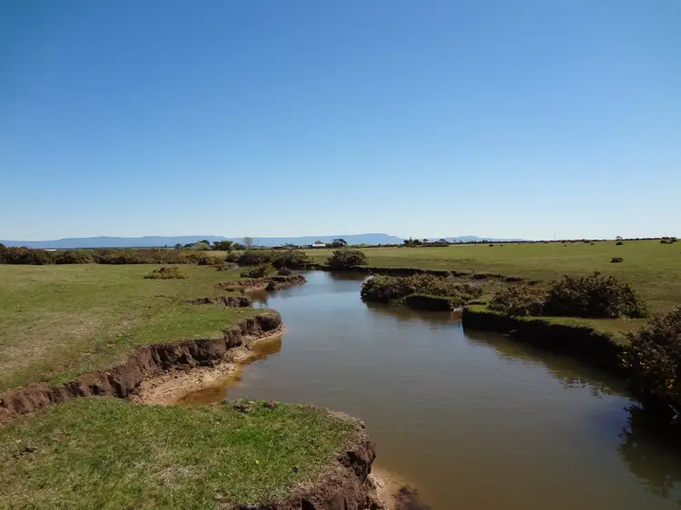 Fourth view of Homely rural property listing, 372 Nile Road, Evandale TAS 7212
