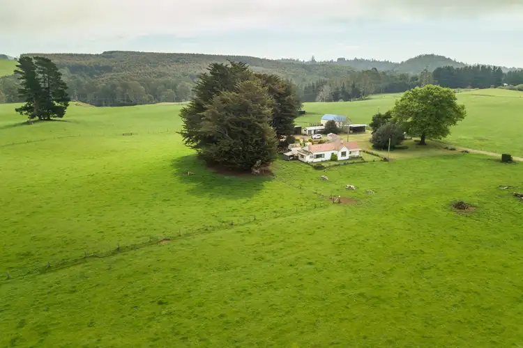 Seventh view of Homely rural property listing, 679 West Nook Road, Nook TAS 7306