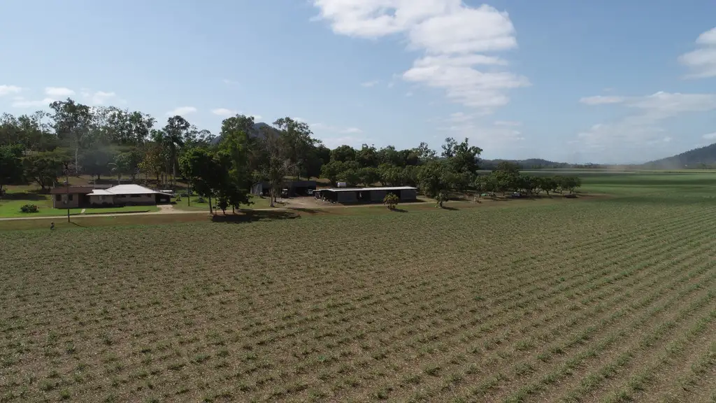 Main view of Homely rural property listing, Address available on request