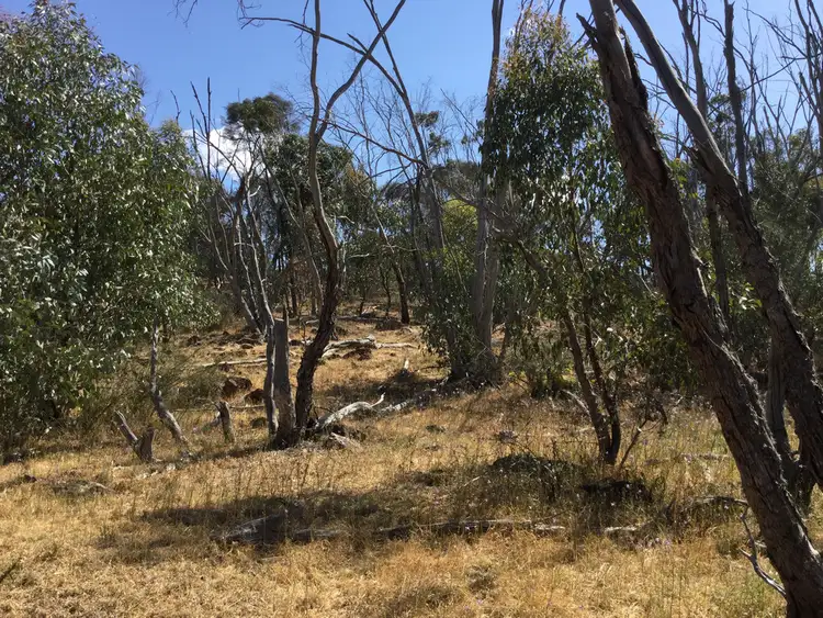 Fourth view of Homely rural property listing, . DUNLOP ROAD, St Arnaud VIC 3478