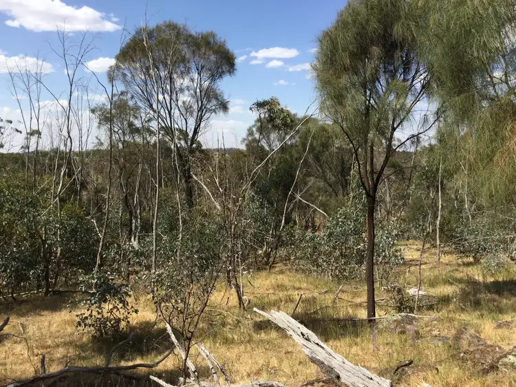 Fifth view of Homely rural property listing, . DUNLOP ROAD, St Arnaud VIC 3478
