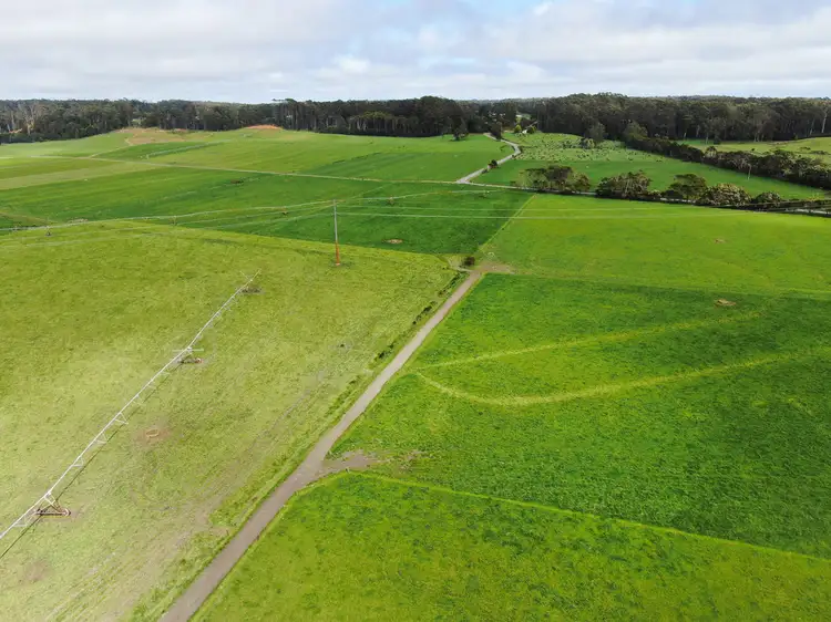 Seventh view of Homely rural property listing, 23239 Bass Hwy 125 Innes Rd 235 Hardmans Rd Nicholls Rd, Smithton TAS 7330