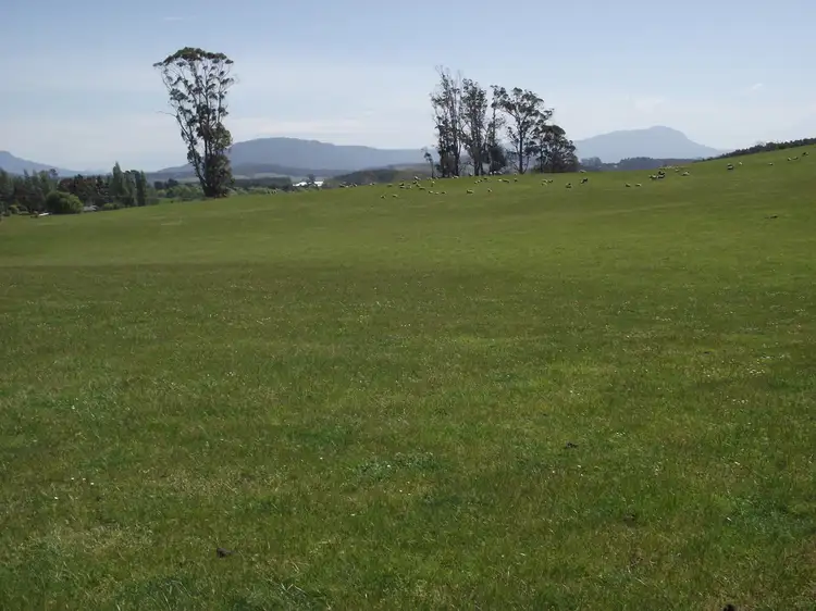5208 Bass Highway, Deloraine TAS 7304