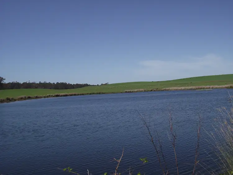 Seventh view of Homely rural property listing, 5208 Bass Highway, Deloraine TAS 7304