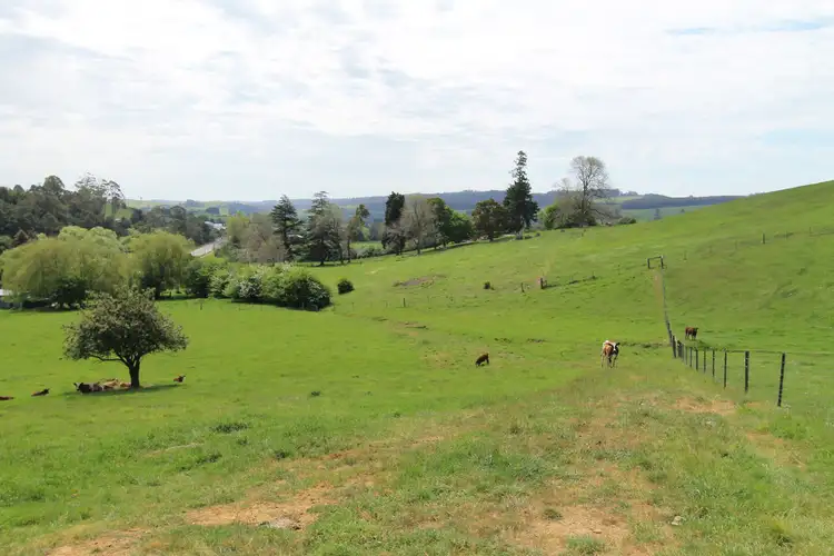 Main view of Homely land listing, Lot 5 - 1852 Lilydale Road, Lilydale TAS 7268