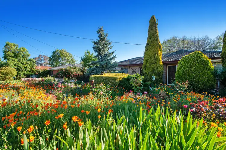 3 Waratah Ave, Bayswater North VIC 3153