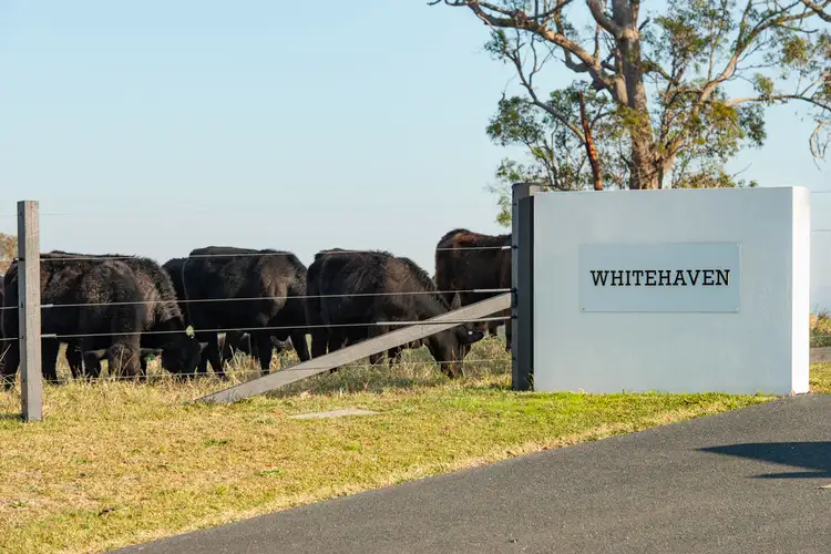 Second view of Homely rural property listing, Whitehaven 20 Surbiton Place, Mitchells Island NSW 2430